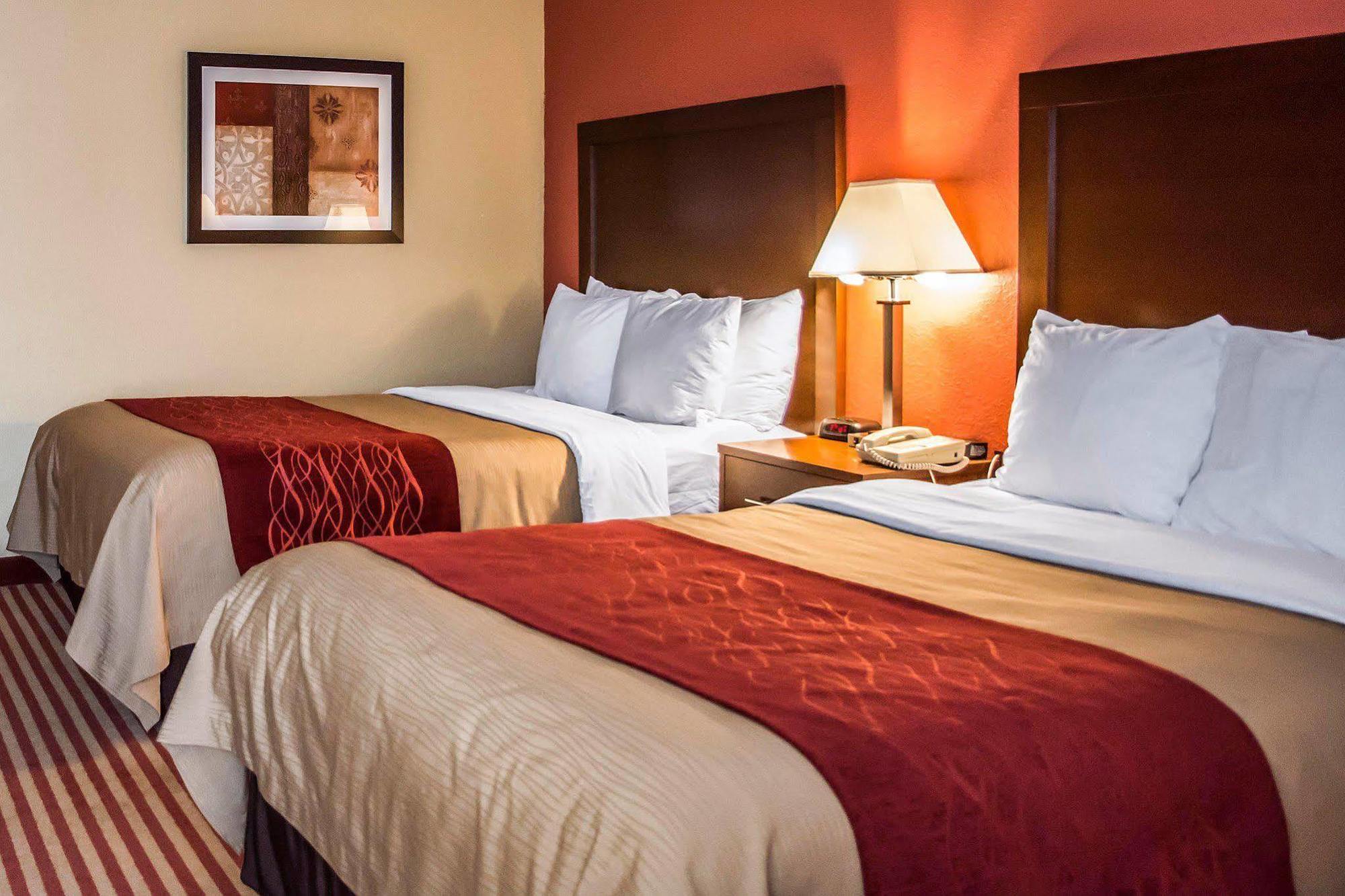 Comfort Inn & Suites Cincinnati Eastgate Eksteriør bilde