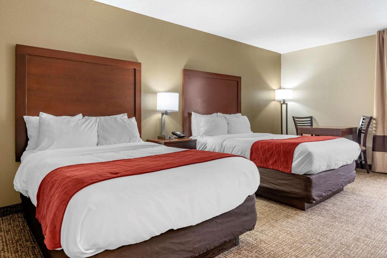 Comfort Inn & Suites Cincinnati Eastgate Eksteriør bilde